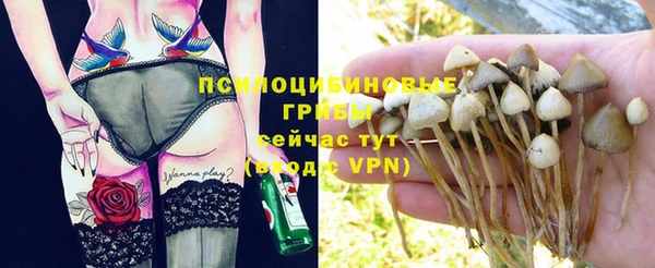 ешки Кинешма