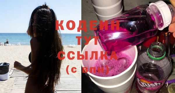 трава Корсаков